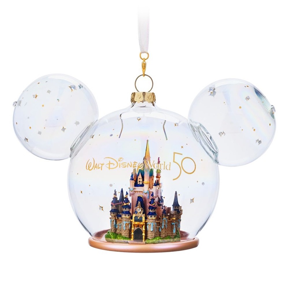 Brand new straight from magic kingdom